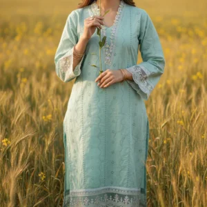 2 PC Embellished Chikan kari Suit PS6122